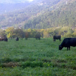 Alloggio per agriturismo Biobiò Vobarno